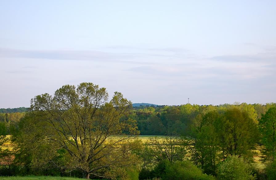 Sweet Meadow Views